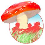 Kinderopvang Het Zwammeke Standdaarbuiten